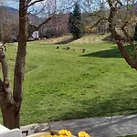 Na Lesnej